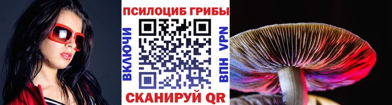 блэк спрут маркетплейс  магазин продажи наркотиков  Дубна  Псилоцибиновые грибы Psilocybine cubensis 